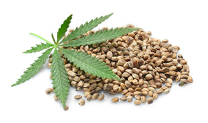 Cannabis and Hemp