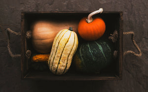 Melons and Squash