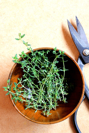 Herbs