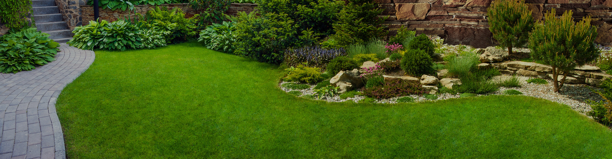 Mycorrhizal Inoculants for Landscape Professionals