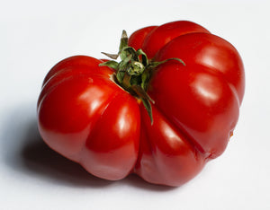 Vegetable Starts